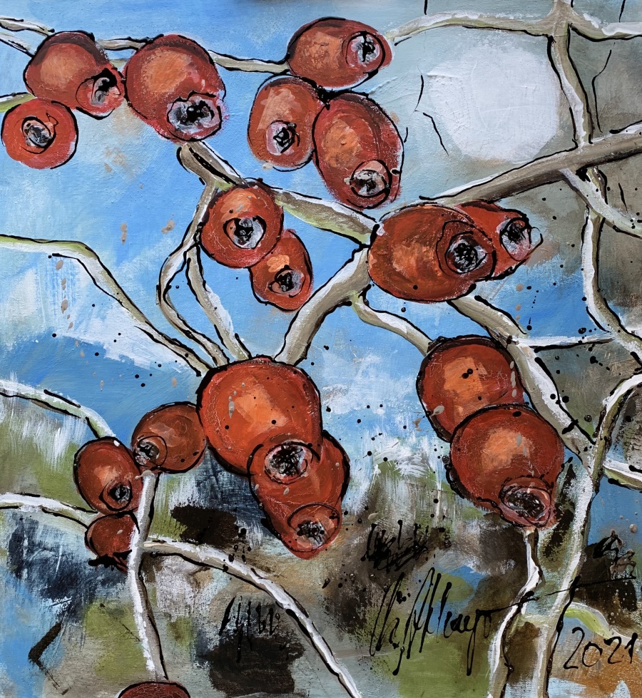 Zauber Natur Wilde Wiese