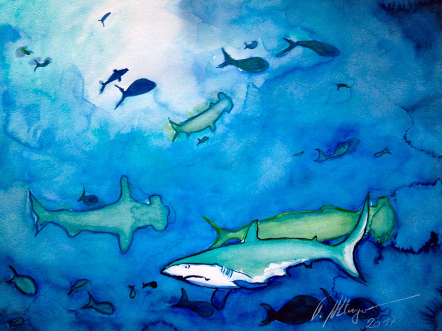 Jerrez - Costa de la Luz