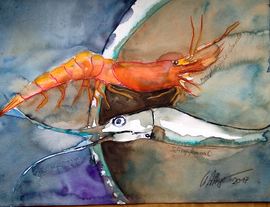 Jerrez - Costa de la Luz