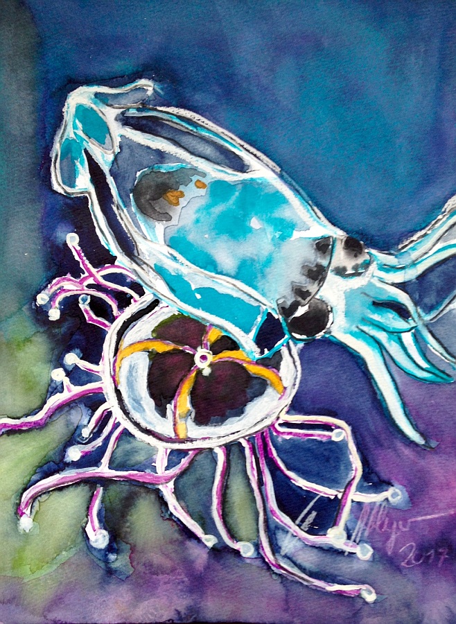 Jerrez - Costa de la Luz