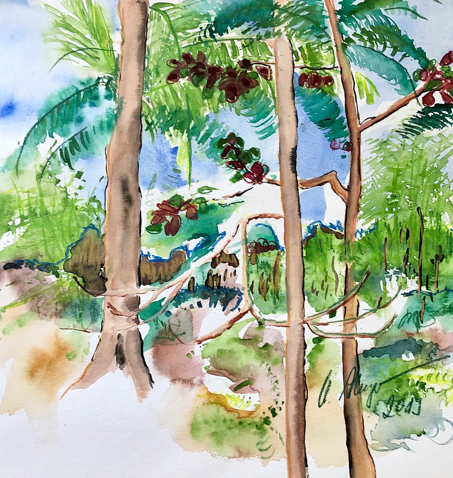 Jerrez - Costa de la Luz