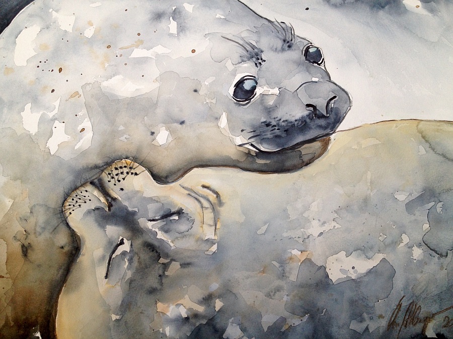 Jerrez - Costa de la Luz