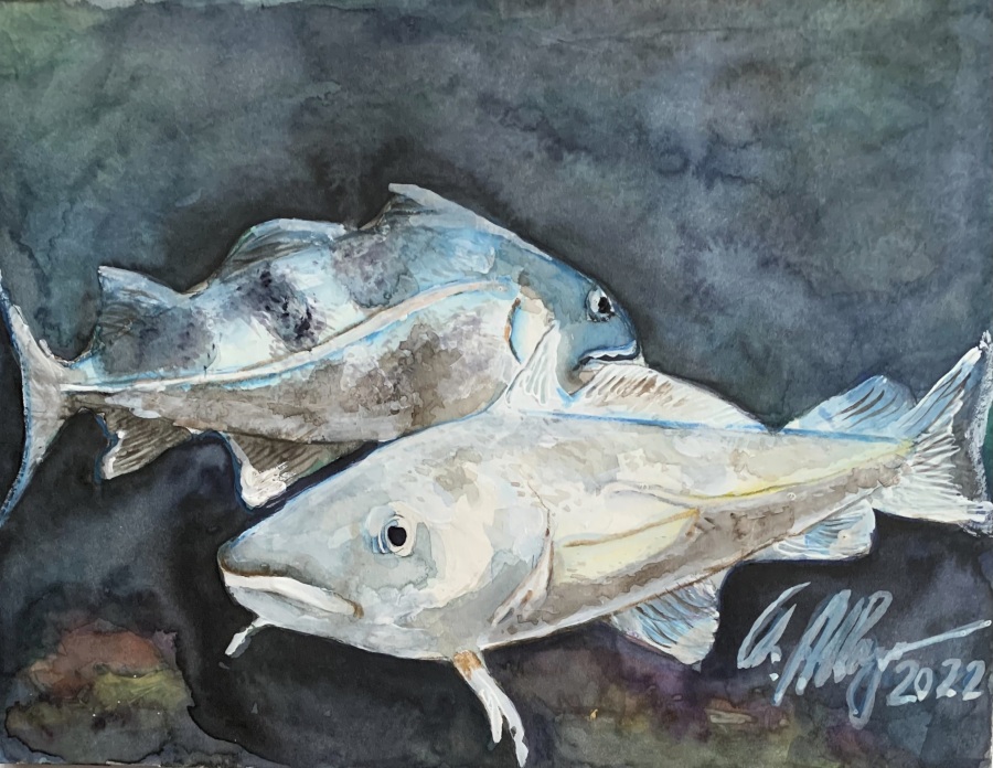 Jerrez - Costa de la Luz