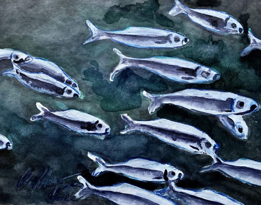 Jerrez - Costa de la Luz