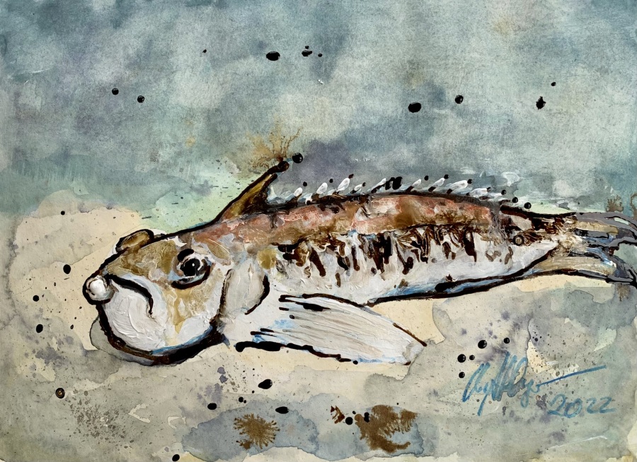 Jerrez - Costa de la Luz