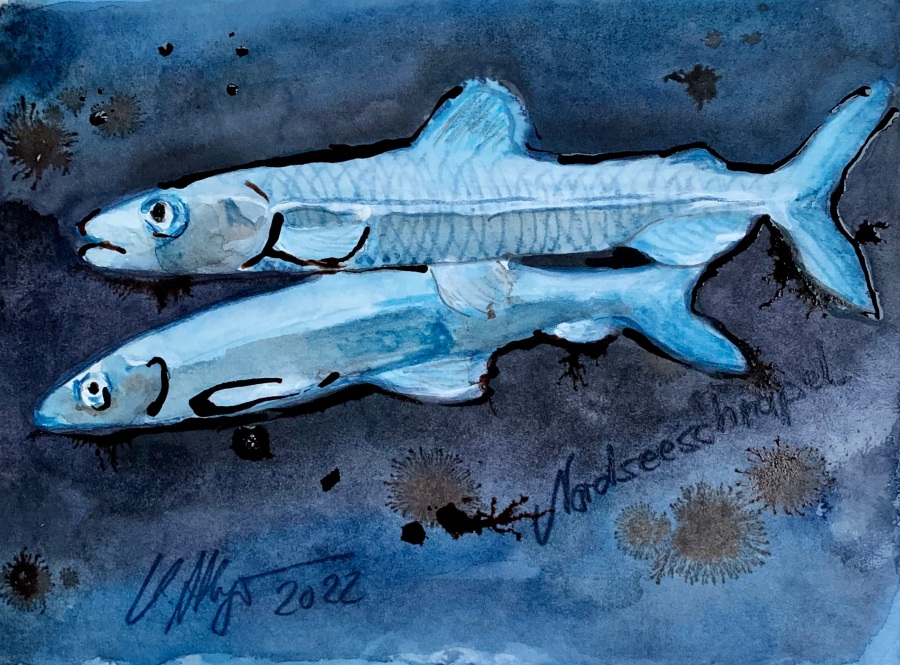 Jerrez - Costa de la Luz