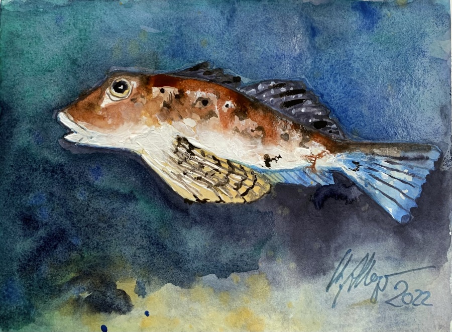 Jerrez - Costa de la Luz