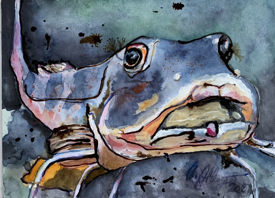 Jerrez - Costa de la Luz